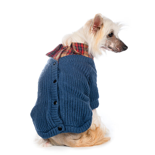 Свитер с пуговицами для собак L голубой (унисекс)