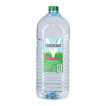 Вода питьевая Сенежская негазированная пэт