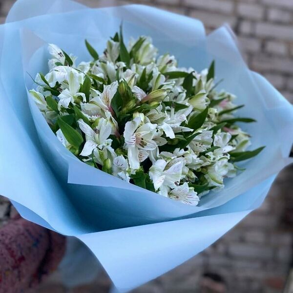 Букет из 25 белых альстромерий