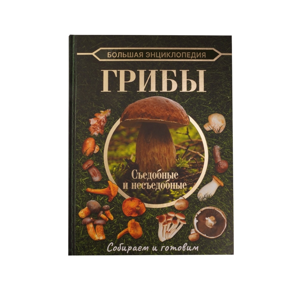 

Книга Большая энциклопедия. Грибы. Съедобные и несъедобные. Поленов Андрей Борисович, Россия