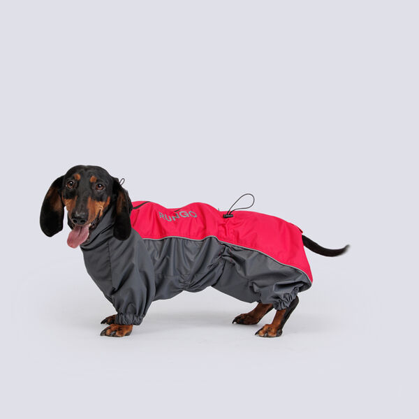 Дождевик для большой таксы, 39x65x46 см, малина (девочка)