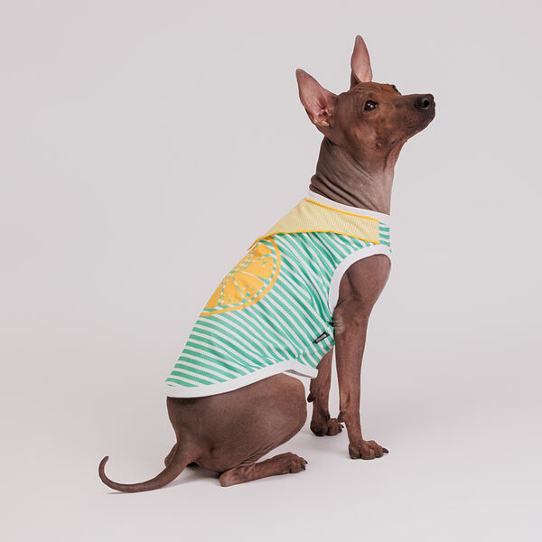 Футболка с банданой для собак Cool, L, зеленая