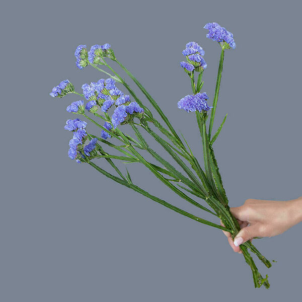 Статица синяя 3ст