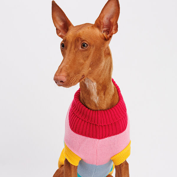 Свитер полосатый для собак Радуга, 55 см