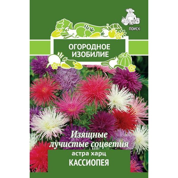 

Семена Огородное Изобилие Астра харц Кассиопея 1 г