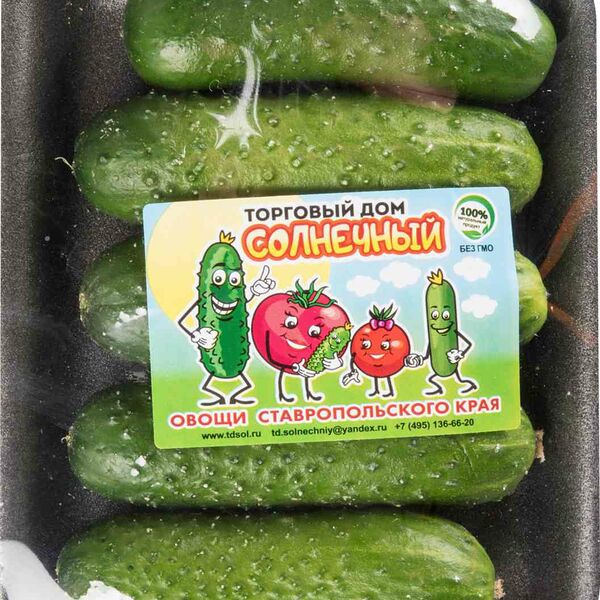 Огурцы корнишоны Солнечный