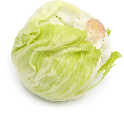 

Салат Айсберг 500 г