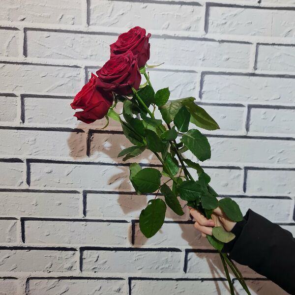 Красные розы Ред наоми