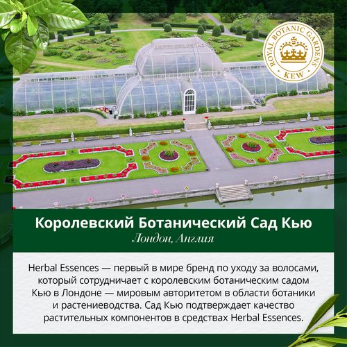 

Шампунь Herbal Essences Марокканское аргановое масло 250 мл