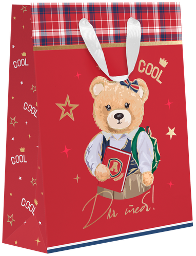 

Пакет подарочный Teddy XLT 45х33х10 см, дизайн в ассортименте