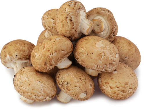 

Шампиньоны Королевские вес