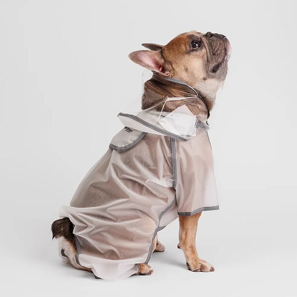 Дождевик с ножками для французского бульдога, XL, прозрачный