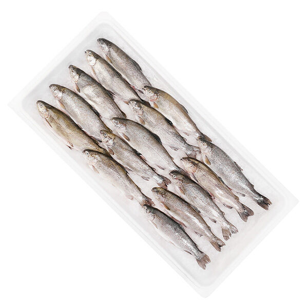 Форель карельская охлажденная мелкая 200-300 гр ОПТ