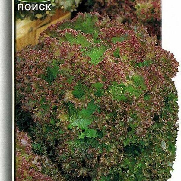 Семена Салат Лолло Росса ТМ Поиск