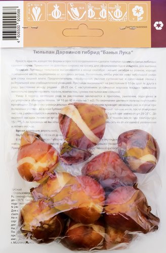 

Луковицы Тюльпан Дарвинов гибрид Банья Лука, 10шт