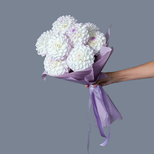 Монобукет из 9 георгинов