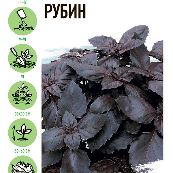 Семена УДАЧНЫЕ СЕМЕНА Базилик Ереванский рубин, 0,1г