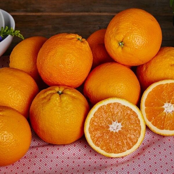 Апельсины (Danilovskymarket)