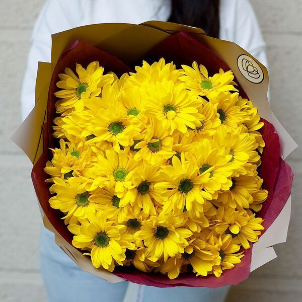 Букет из 11 жёлтых кустовых хризантем в кремовой пленке