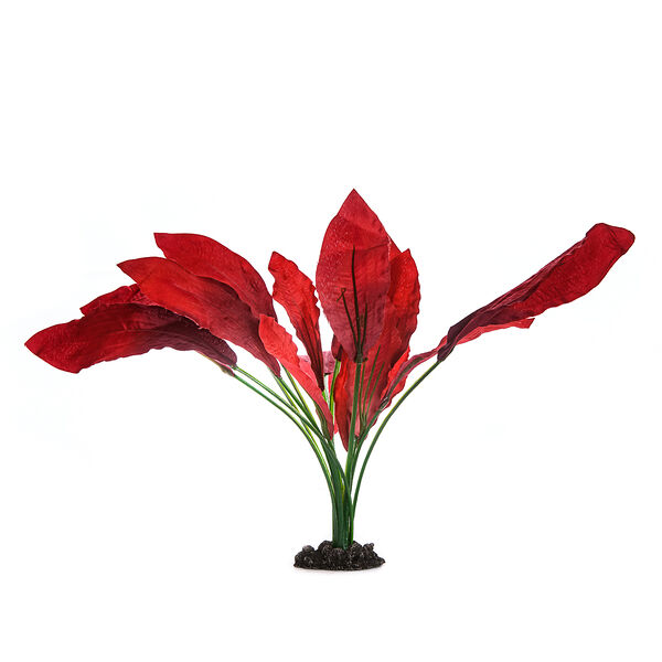 Декор для аквариума Растение шелковое Эхинодорус Кляйн Бер, 30см