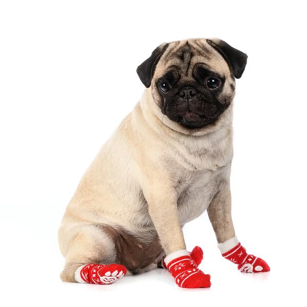 Носки для собак L красный (унисекс)