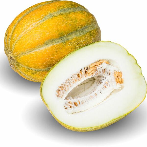 Дыня Ромашка