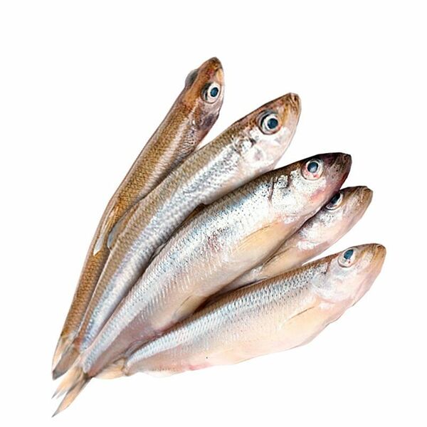 Корюшка дальневосточная свежемороженая, Икорный, 900 г