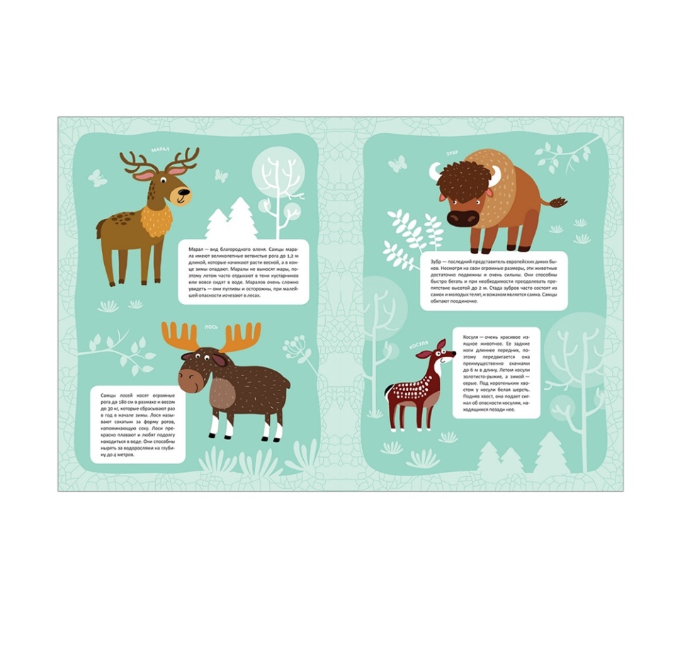 

Книга В мире животных "Зеленый лес" с многоразовыми наклейками