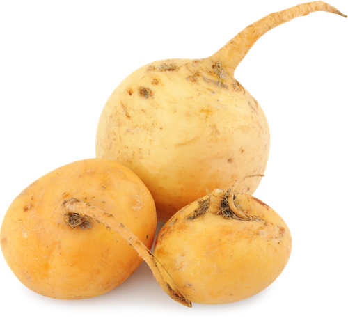 

Репа весовая