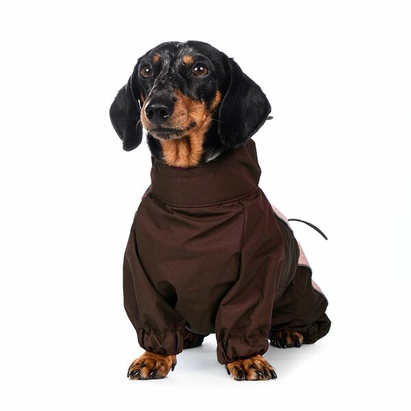 Комбинезон теплый для собак крупных пород Такса большая 47x38x56см 3XL кофейный (девочка)