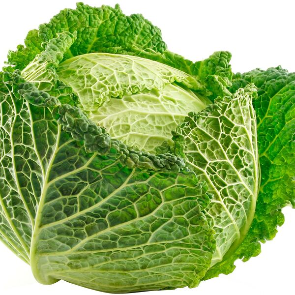 Капуста савойская