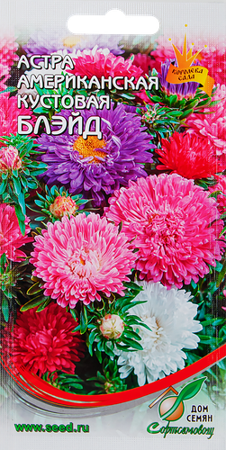 Семена Дом семян Астра Блэйд, 0,25 г