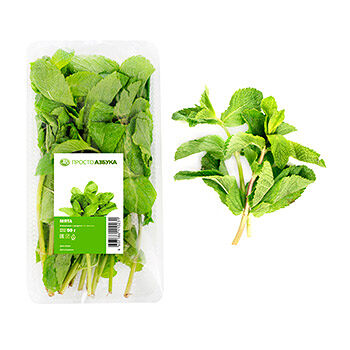 Мята, «Просто Азбука»