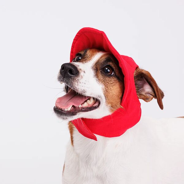 Кепка для собак Rurri M, красная