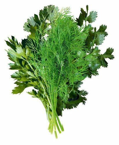 Зелень укропа и петрушки, «Просто Азбука»