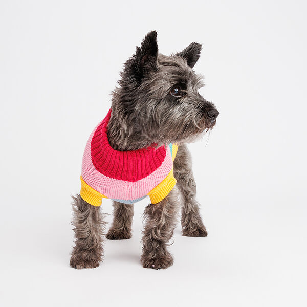 Свитер полосатый для собак Радуга, 30 см