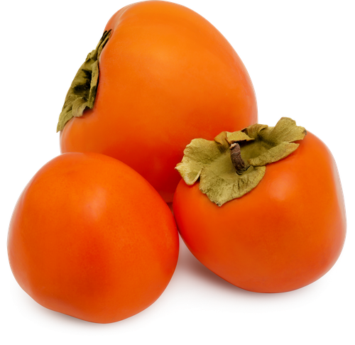 

Хурма Свечка весовая