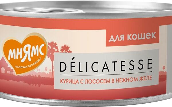 Влажный корм для кошек Мнямс Курица с лососем в нежном желе 70г
