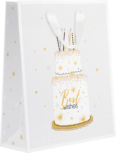 

Пакет подарочный Shine 22.7х18х10 см, люкс в ассортименте 1 шт.