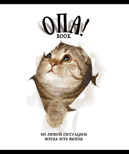

Тетрадь общая ПЗБМ Опа! 48 листов в клетку А5 1 шт. дизайн в ассортименте