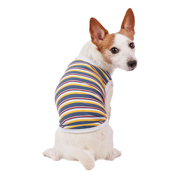 Футболка для собак Petmax M желтый (унисекс)