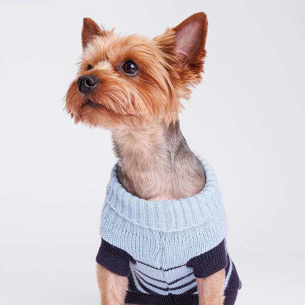 Свитер полосатый для кошек и собак, 20 см, голубой