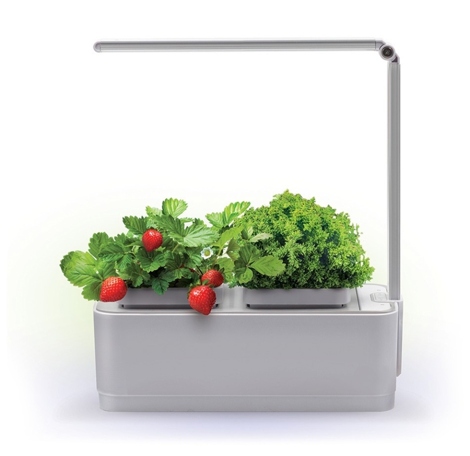 

Набор для выращивания Компактный смарт-сад iGarden LED Назад к истокам с подушкой 1 шт