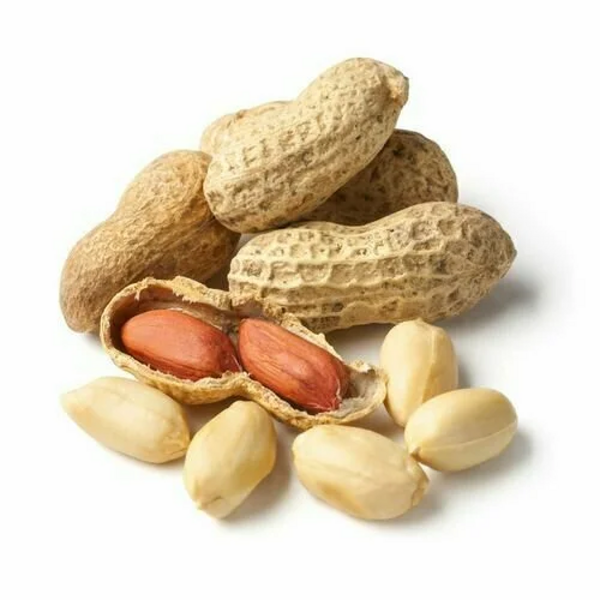 Арахис в скорлупе