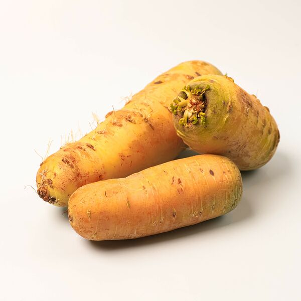 Морковь жёлтая