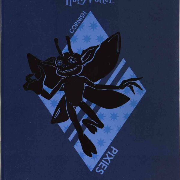 Тетрадь А5 Hatber Harry Potter, 48 листов