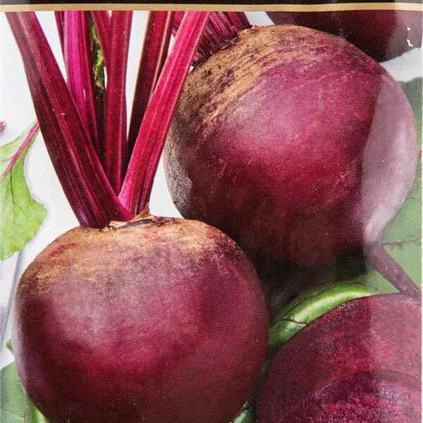 Свёкла столовая Креолка Поиск