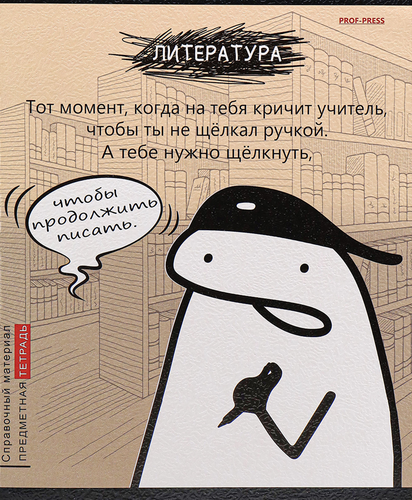 

Тетрадь PROF-PRESS Школьные мемасики Литература, 48 листов, в линейку, Арт. 48-9660