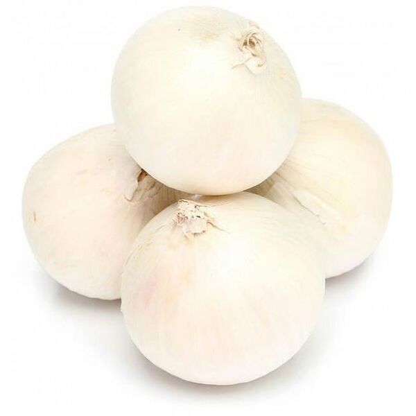 Лук белый в сетке 500 г