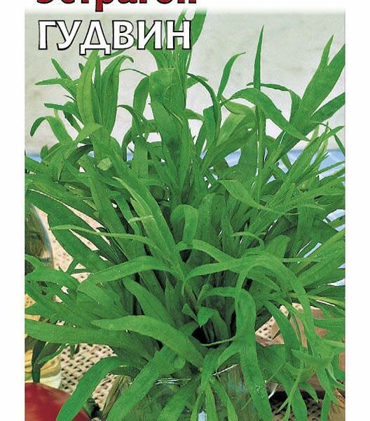 Семена Эстрагон Гудвин ТМ Гавриш